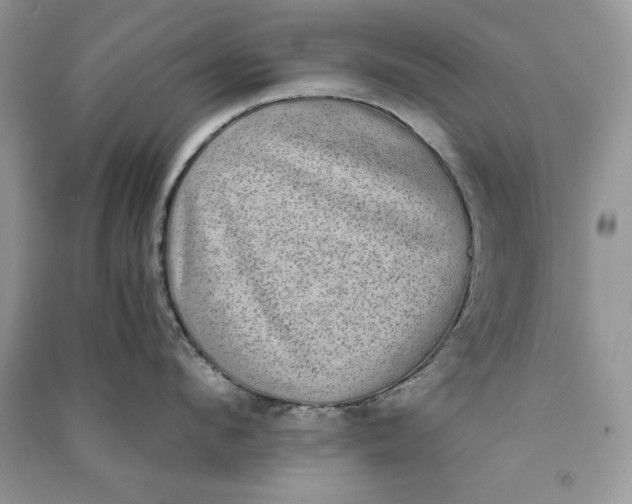 X0000090700912200708101439