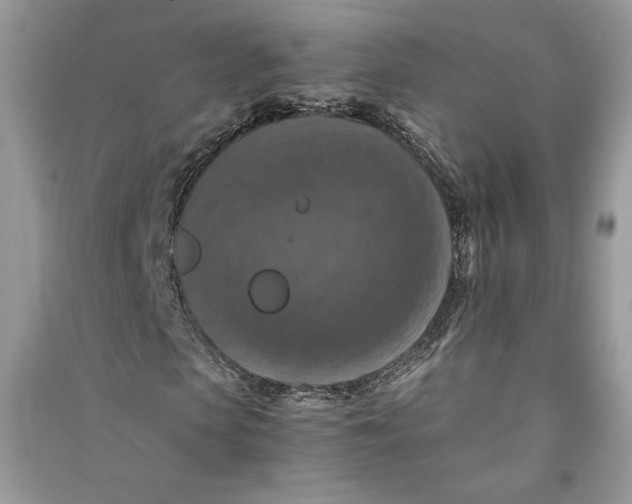 X0000090700913200708101438