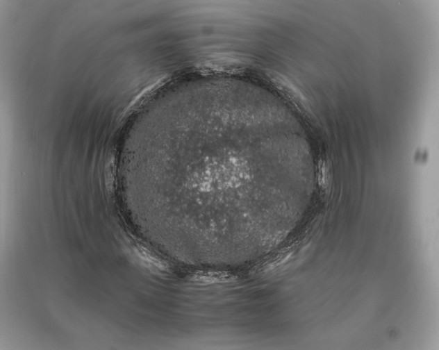 X0000090700915200708101438
