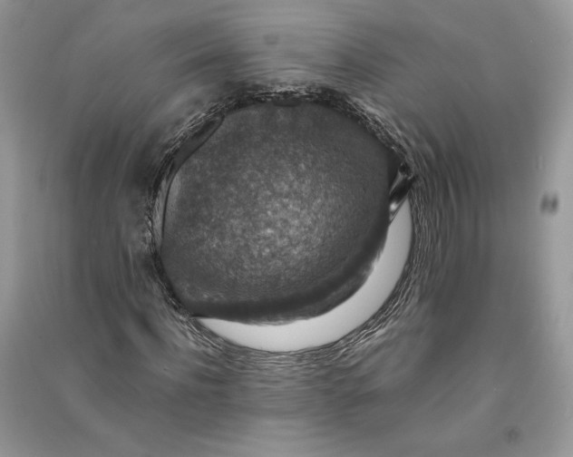 X0000090700916200708101438