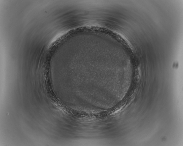 X0000090700919200708101438
