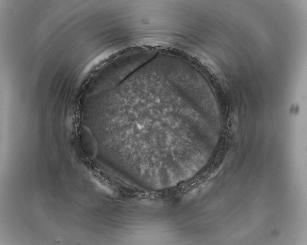X0000090700920200708101438
