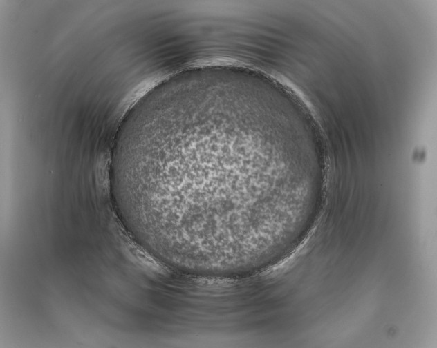 X0000090700921200708101438