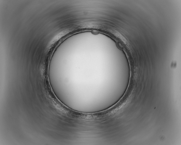 X0000090700922200708101438