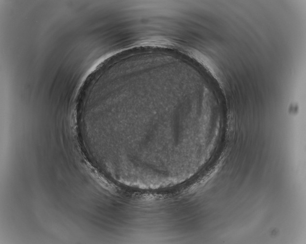 X0000090700923200708101438