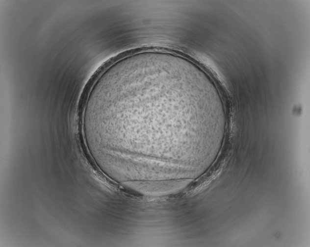 X0000090700924200708101438