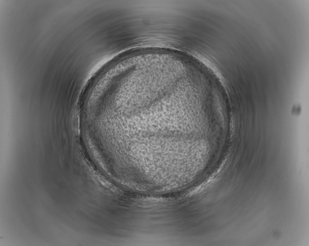 X0000090700925200708101438