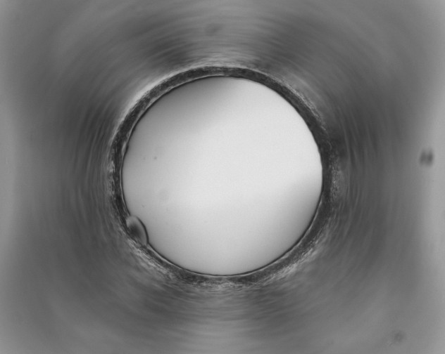 X0000090700926200708101438