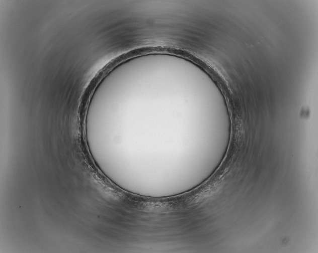 X0000090700927200708101438
