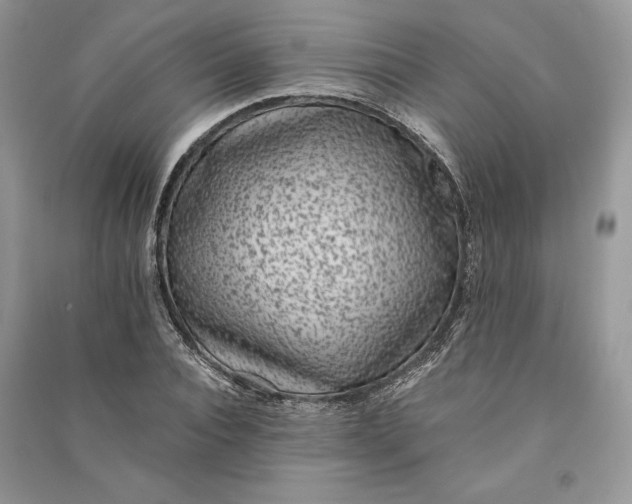 X0000090700928200708101438