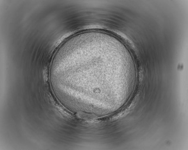 X0000090700929200708101438