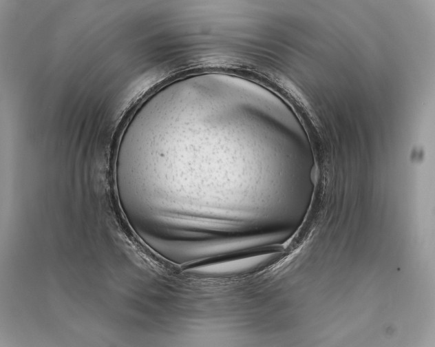 X0000090700930200708101438