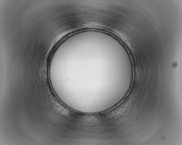 X0000090700931200708101438