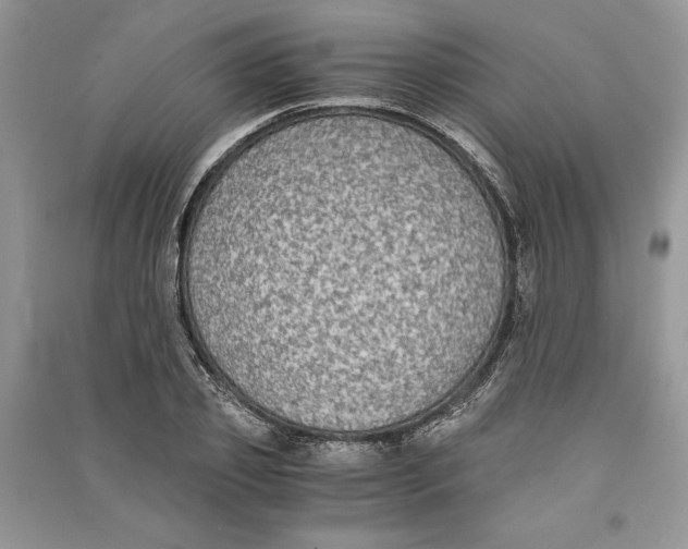X0000090700933200708101438