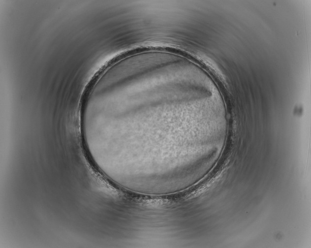 X0000090700934200708101438