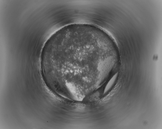 X0000090700935200708101438