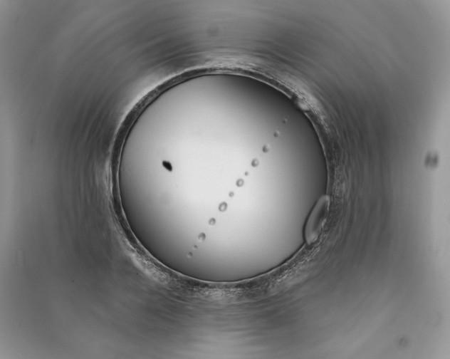 X0000090700936200708101438