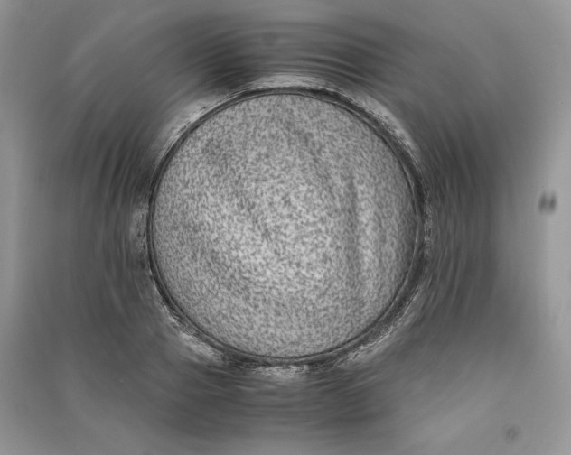 X0000090700937200708101438
