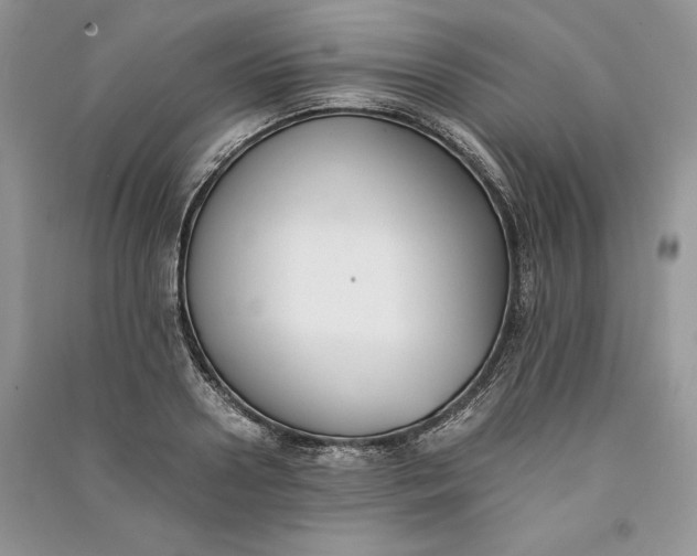 X0000090700938200708101439