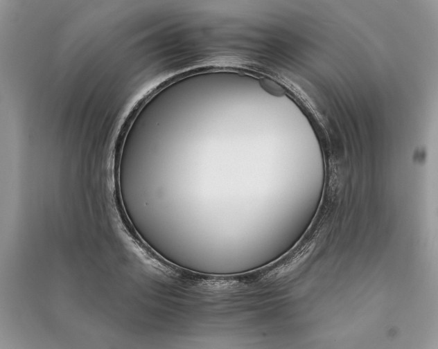 X0000090700939200708101439