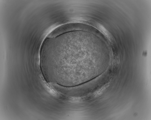 X0000090700940200708101439