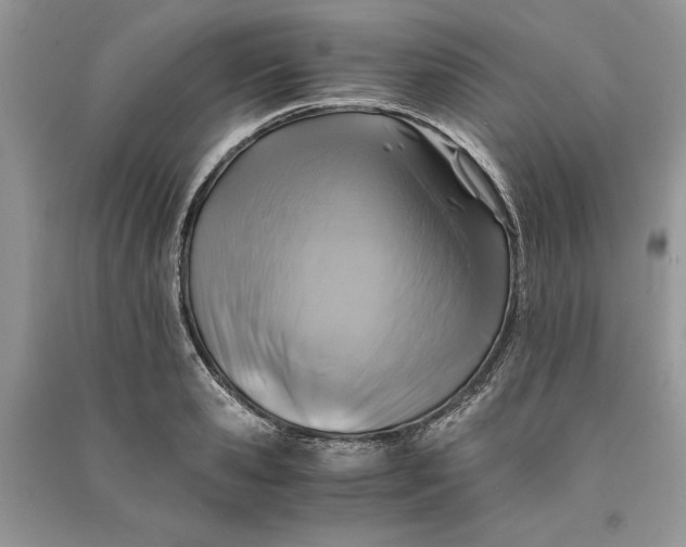 X0000090700941200708101439
