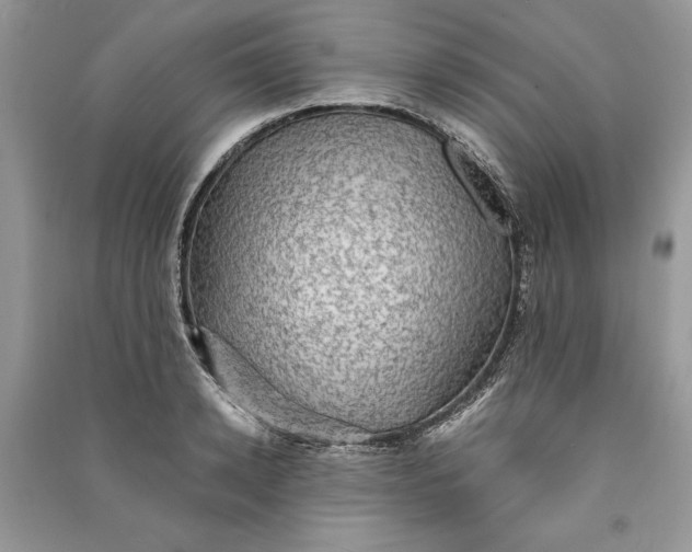 X0000090700942200708101439