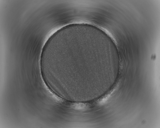 X0000090700943200708101439