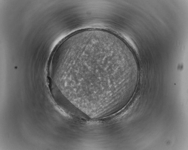 X0000090700944200708101439