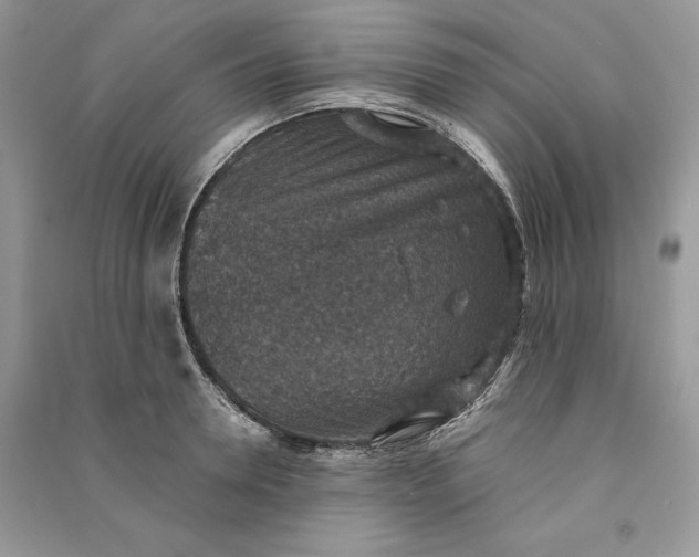 X0000090700946200708101439