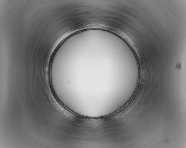 X0000090700947200708101439
