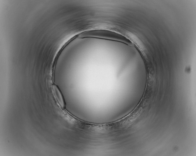 X0000090700948200708101439