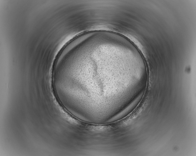 X0000090700949200708101439