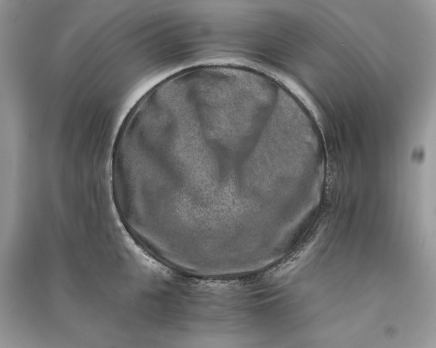 X0000090700951200708101439