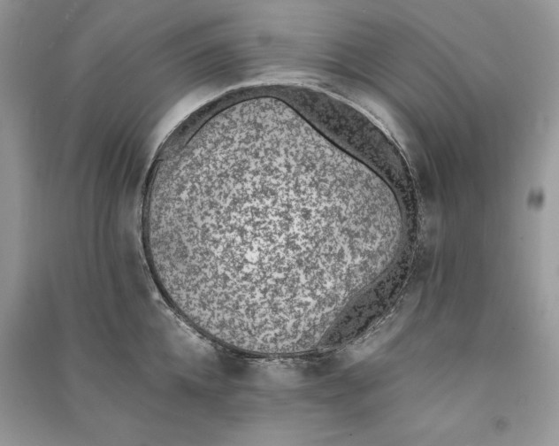 X0000090700952200708101439