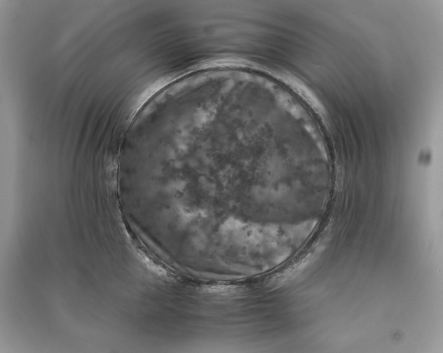 X0000090700953200708101439