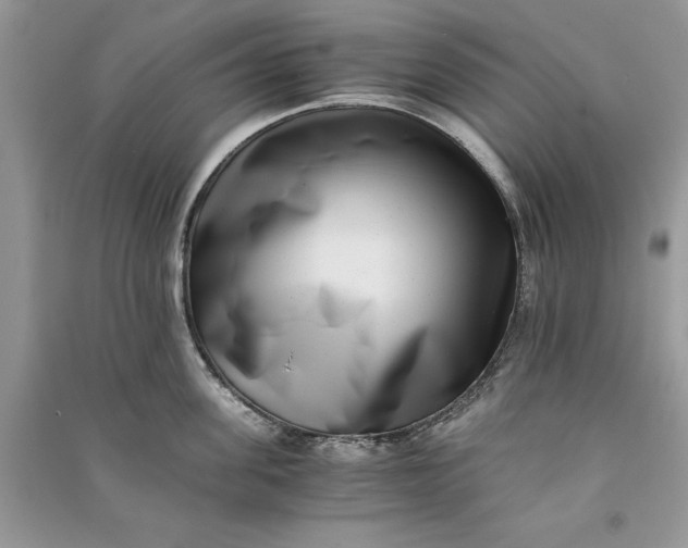 X0000090700955200708101439