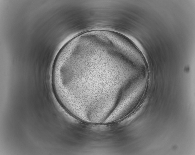 X0000090700957200708101439