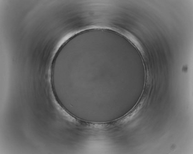 X0000090700958200708101439