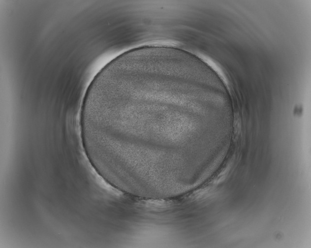 X0000090700959200708101439