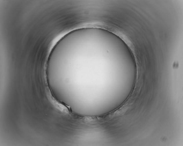 X0000090700960200708101439