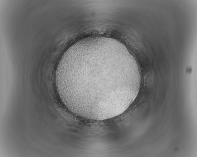 X0000090700961200708101438