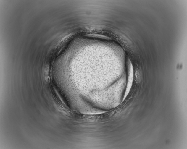 X0000090700963200708101438