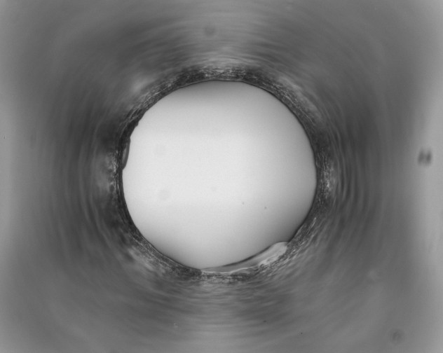 X0000090700964200708101438