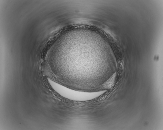 X0000090700965200708101438