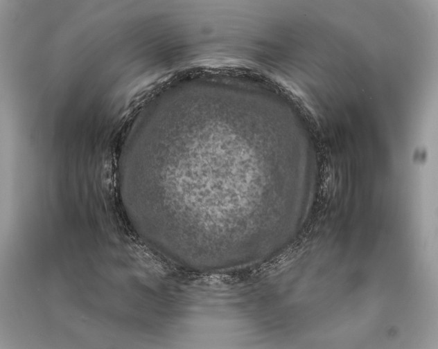 X0000090700966200708101438
