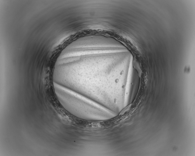X0000090700968200708101438