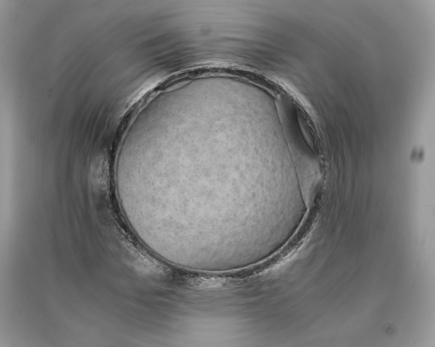 X0000090700969200708101438