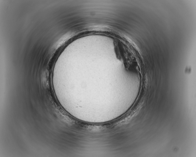 X0000090700970200708101438