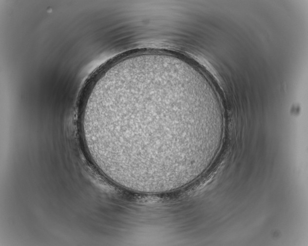 X0000090700971200708101438
